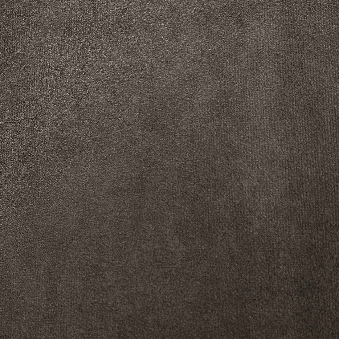 Diva Line grafit bársonyfüggöny 140x250 cm fémkarikákkal