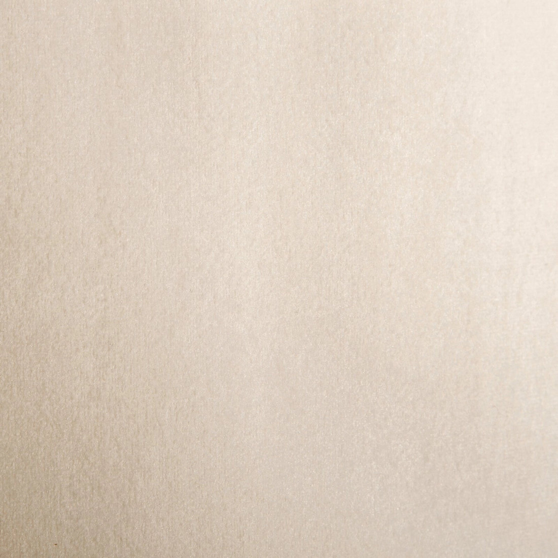 Sametový závěs 140x250 cm v jasně béžové barvě na kovových kroužcích RIA Diva Line