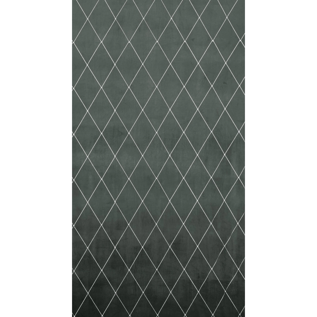 Záves 140x250 cm zamatový svetlosivý a strieborný na kovové krúžky MARGO Pierre Cardin