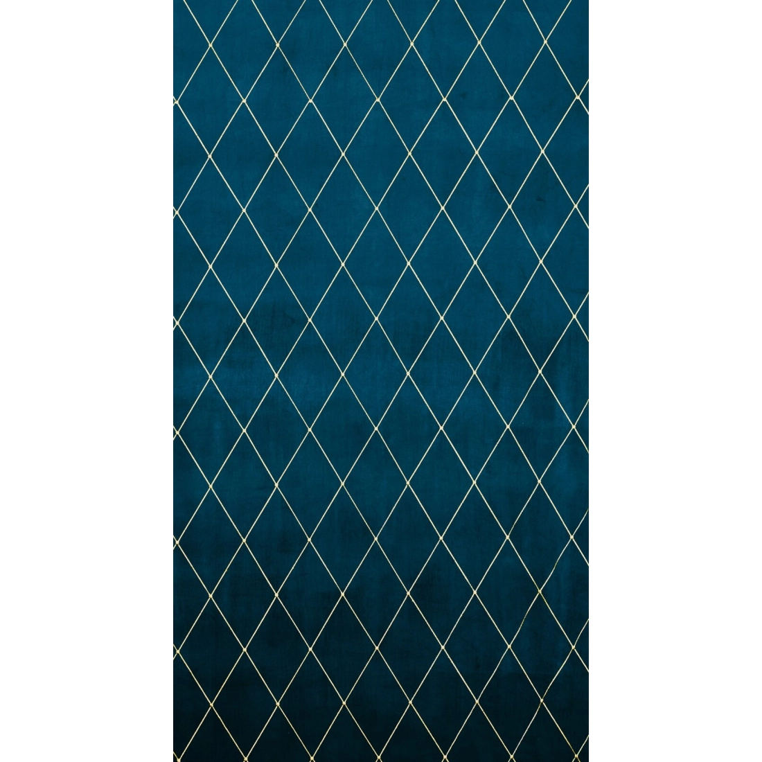 Záves 140x250 cm zamatový tmavomodrý zlatý na kovové krúžky MARGO Pierre Cardin