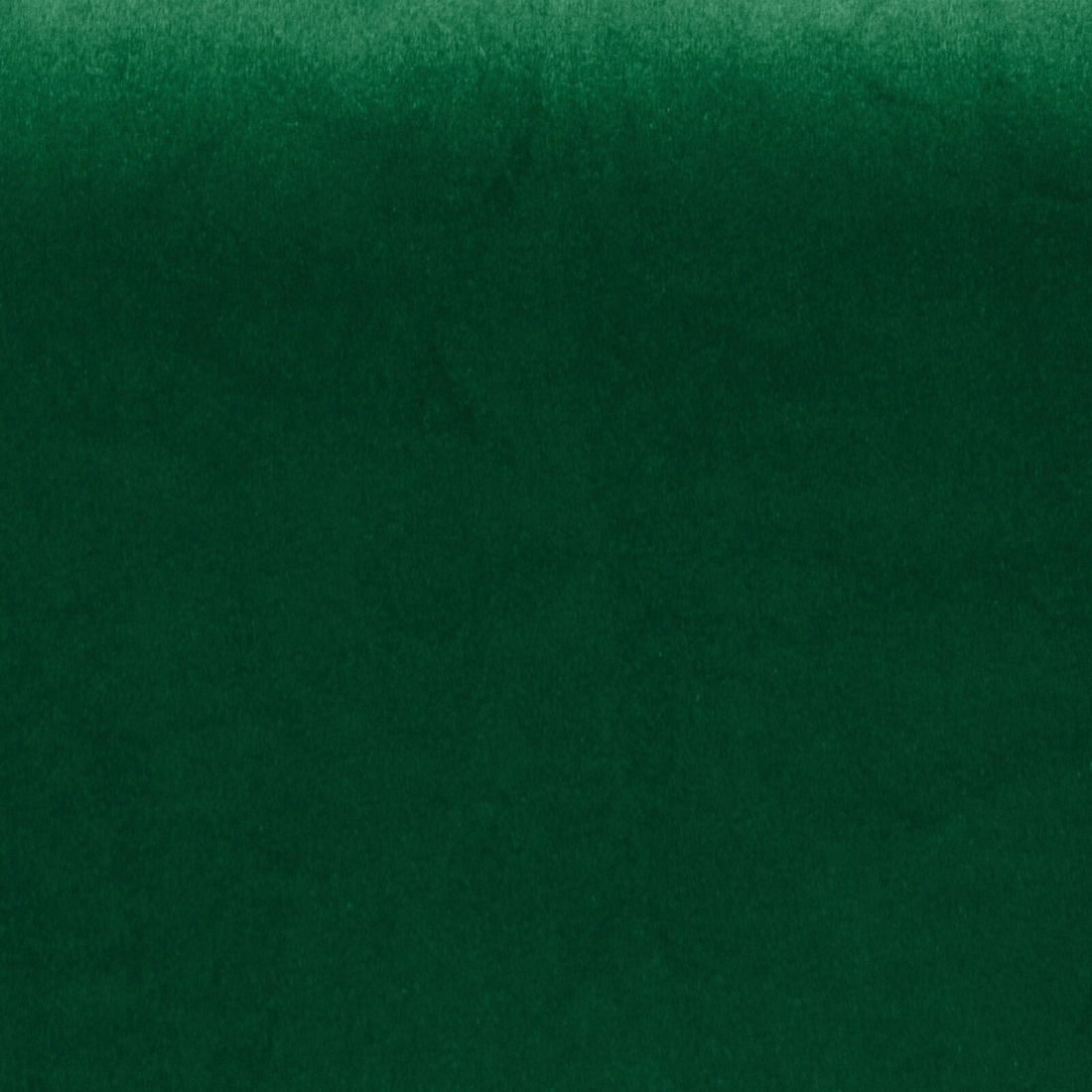 Záves 140x270 cm zamatový tmavozelený na riasiacu pásku SIBEL - Pierre Cardin