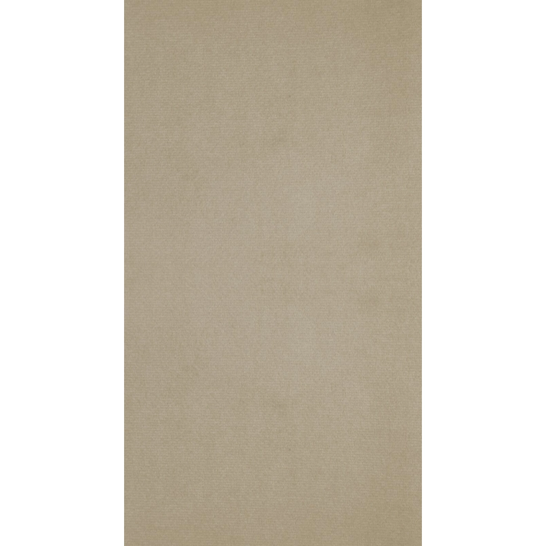 Sametový závěs 140x300 cm světle béžový na řasicí pásku ANTARA