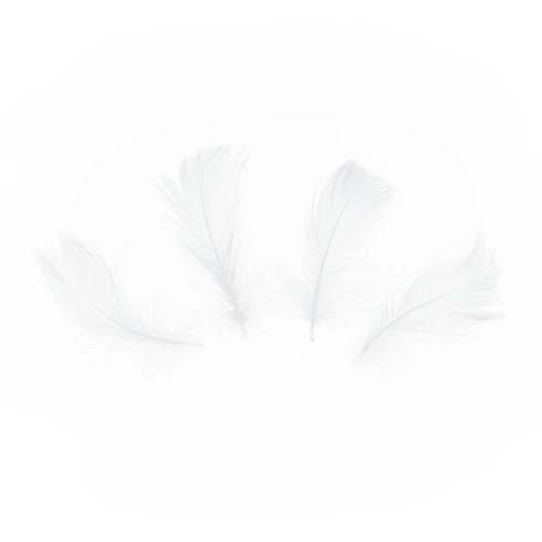 Bijele konfete od perja 50 kom za vjenčanje i party