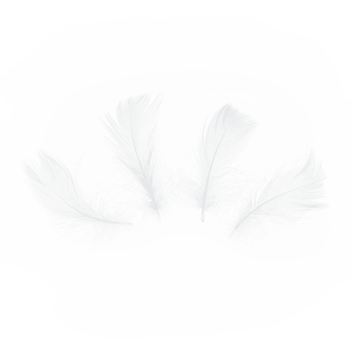 Confetti albe cu pene, 50 bucăți, pentru nuntă și petreceri
