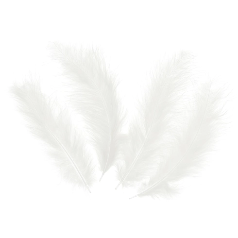 Bijele konfetne perje za vjenčanje i proslavu, 50 kom (10–15 cm)