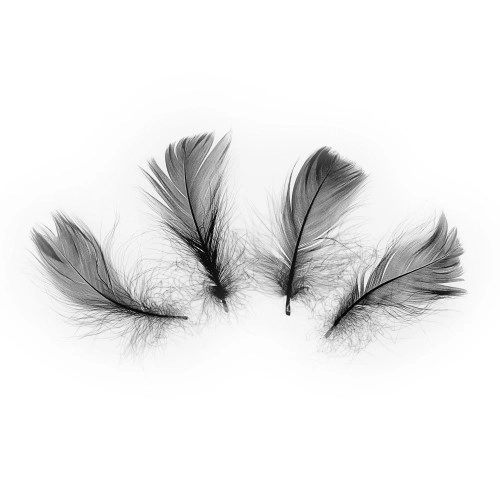 Confetti negre cu pene pentru decor (50 bucăți)