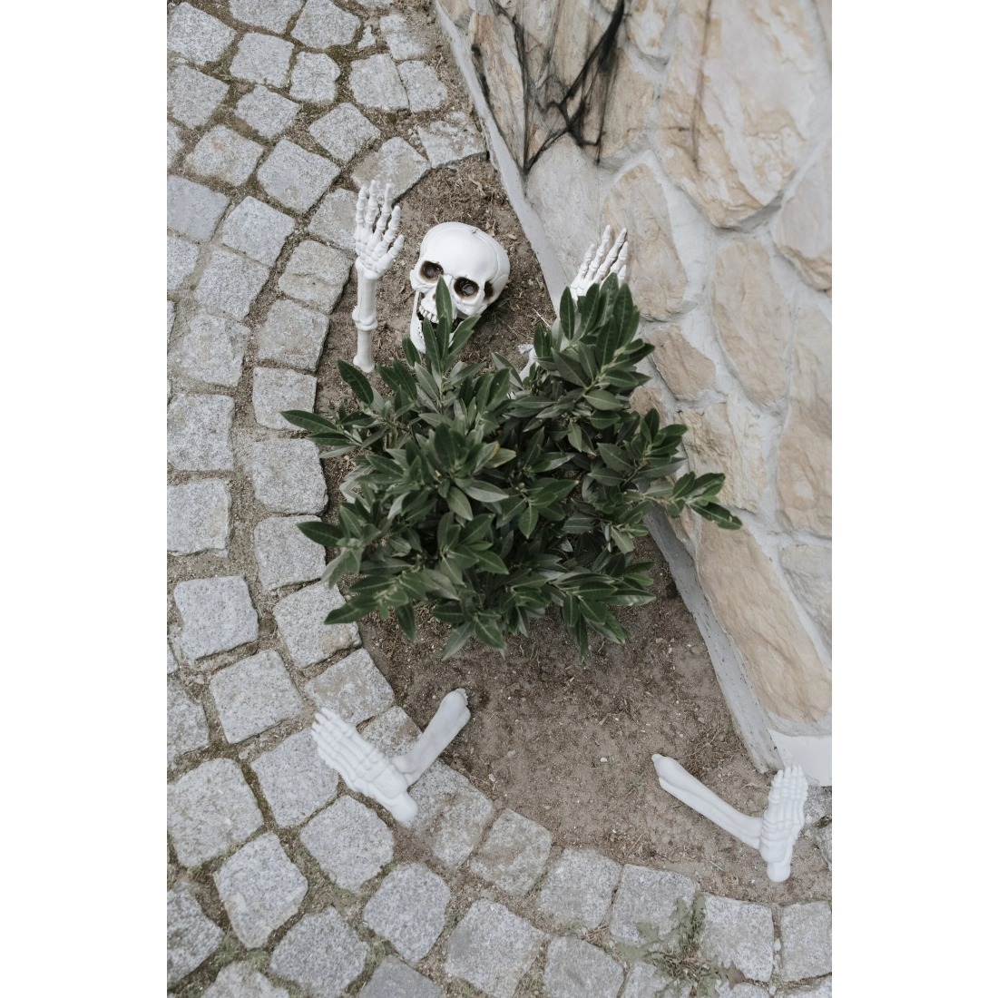 Schemă decorativă de Halloween, set din 5 piese, albă, pentru interior și exterior