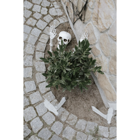Dekoratív csontváz Halloweenra, 5 darabos szett, fehér, beltérre és kültérre