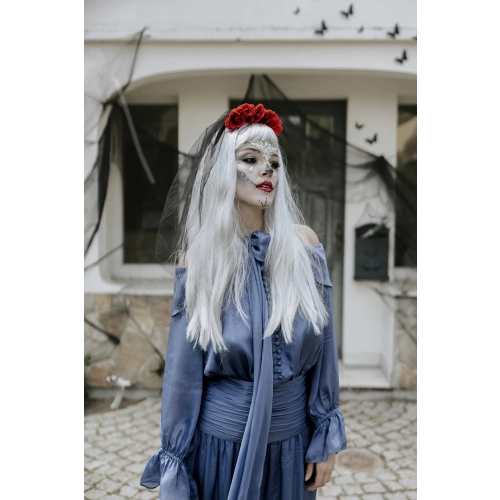 Păr lung argintiu cu breton – aspect natural pentru petrecere