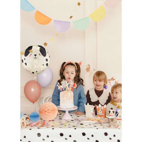 Fóliový balón Happy Birthday psík, krémovo‑čierny 35×35 cm