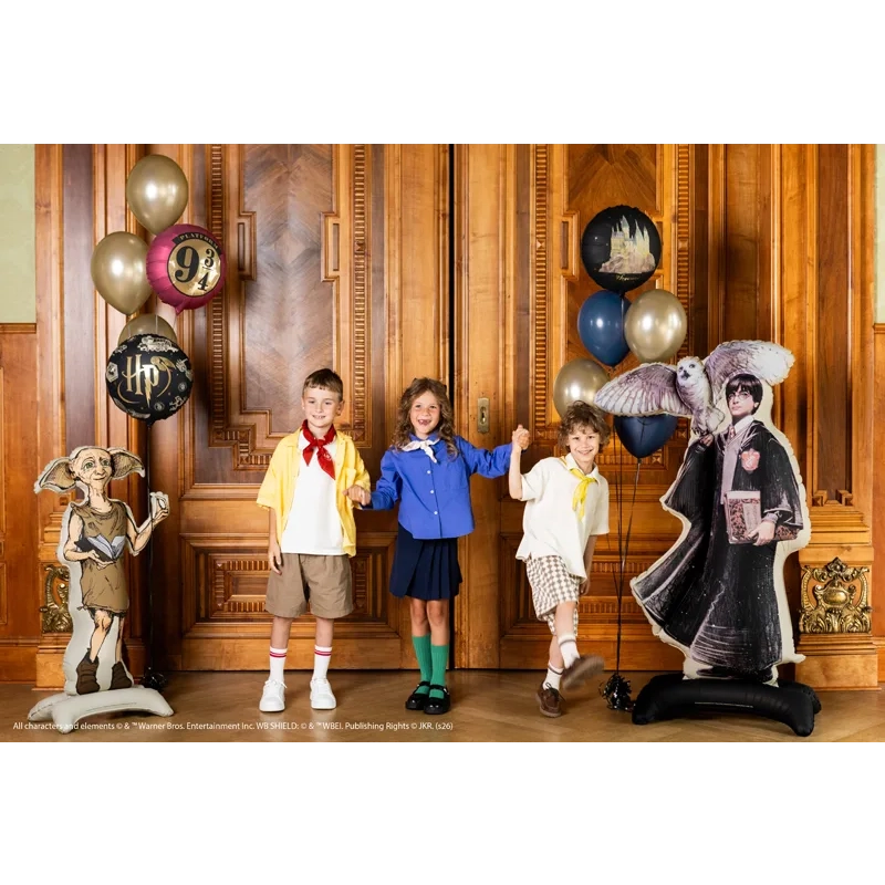 Balon din folie Harry Potter Peronul 9¾, 35 cm