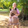 Álló fólia lufi bulldog sapkával 60x98 cm