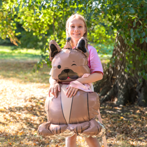 Álló fólia lufi bulldog sapkával 60x98 cm