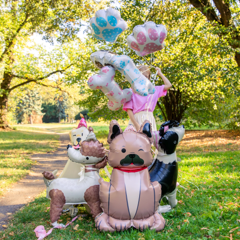 Álló fólia lufi bulldog sapkával 60x98 cm