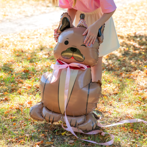 Álló fólia lufi bulldog sapkával 60x98 cm