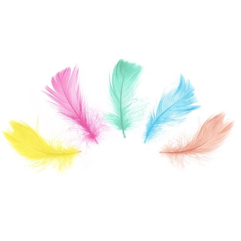 Konfeti u obliku pera, mješavina boja, 50 kom – party dekoracija