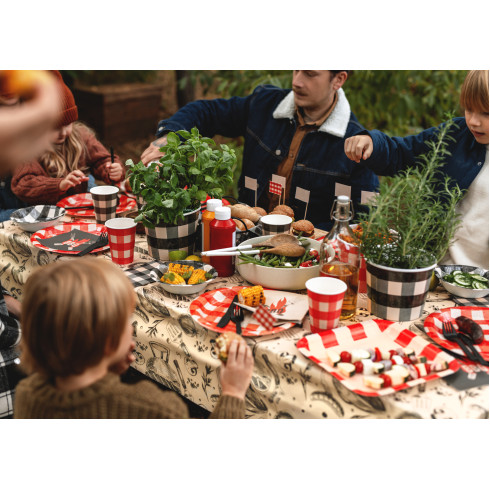 Papirnate posudice za snack s kariranim uzorkom, 2 komada
