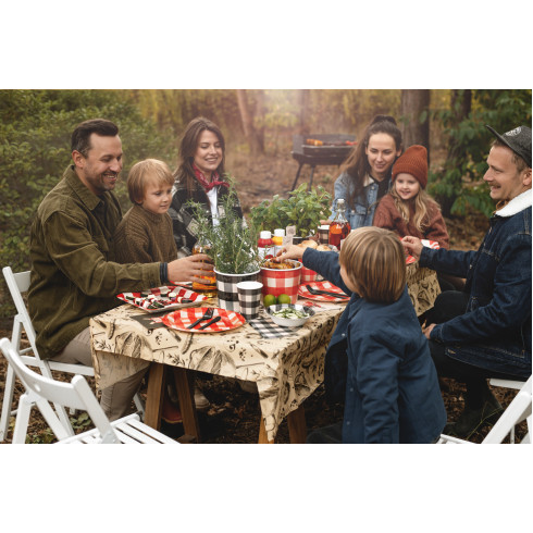 Papirnate posudice za snack s kariranim uzorkom, 2 komada