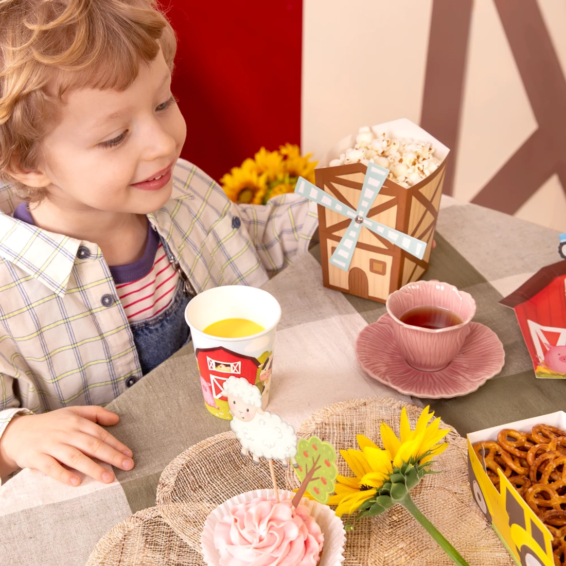 Party lončki za pokovko farma, 6 kosov