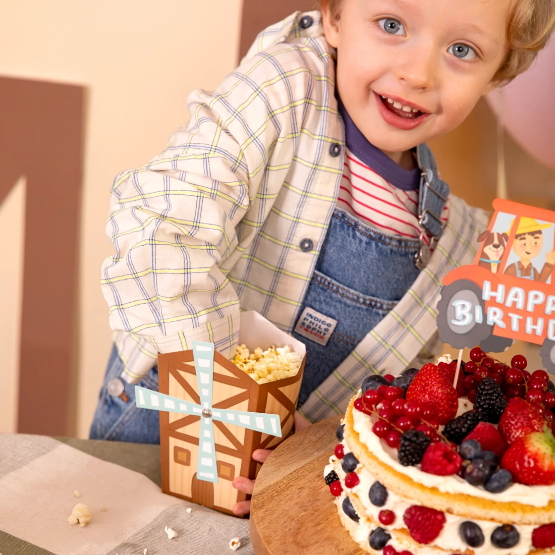 Party lončki za pokovko farma, 6 kosov