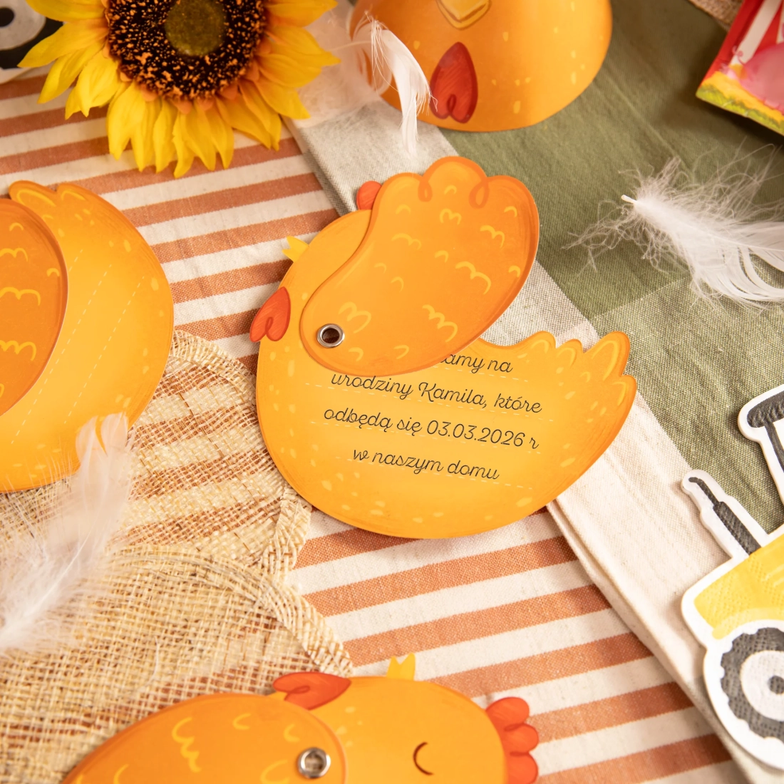 Vabila za zabavo Farma, 6 kosov z ovojnicami