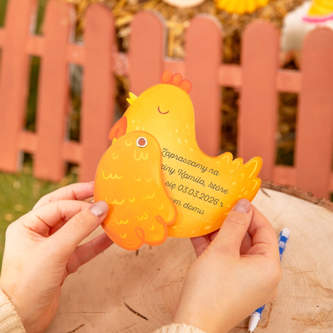 Vabila za zabavo Farma, 6 kosov z ovojnicami