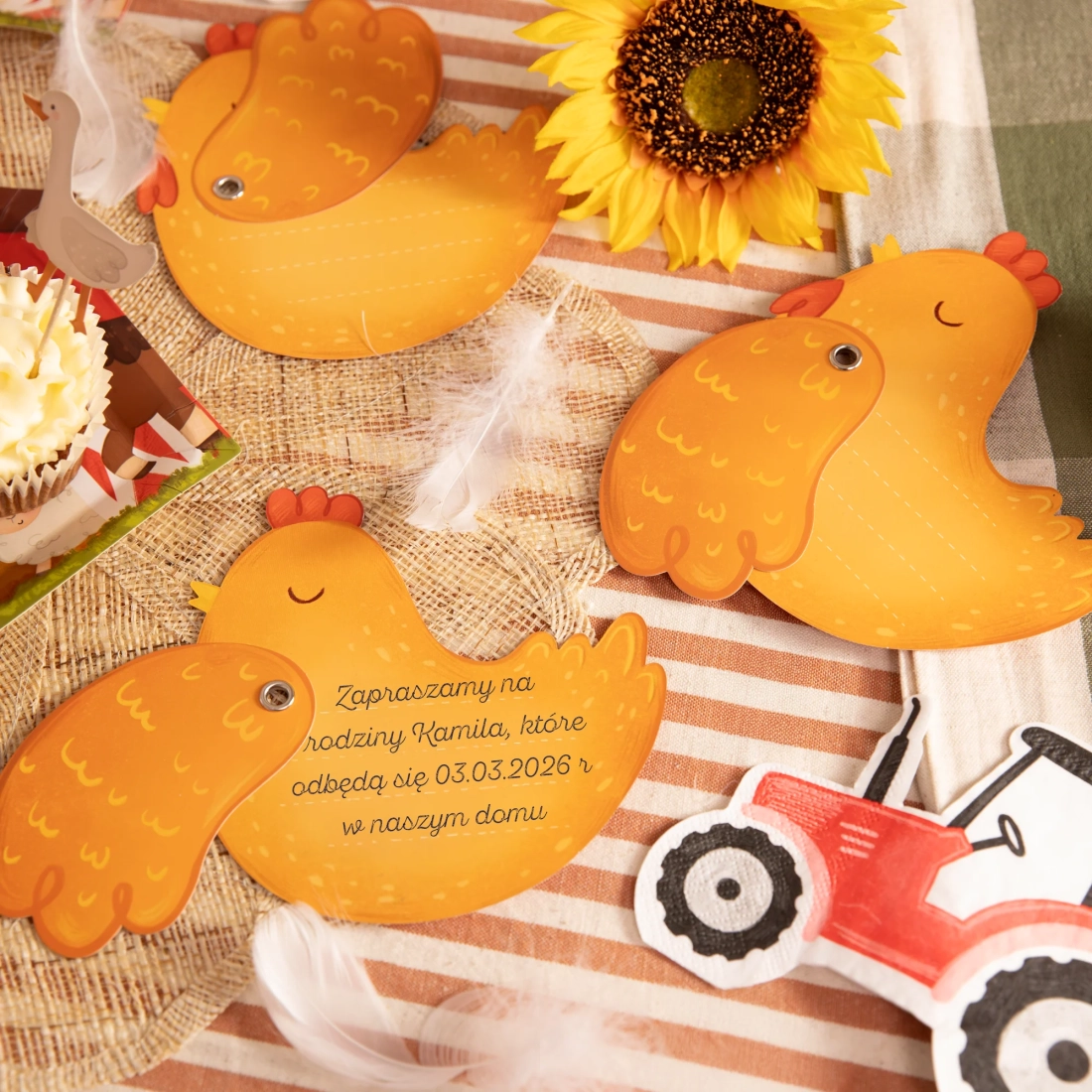 Vabila za zabavo Farma, 6 kosov z ovojnicami