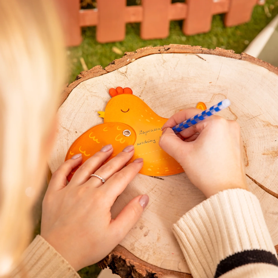 Vabila za zabavo Farma, 6 kosov z ovojnicami