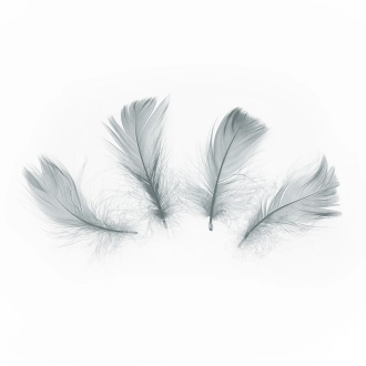 Siva dekorativna perja 5–8 cm, 50 kom za party dekoraciju