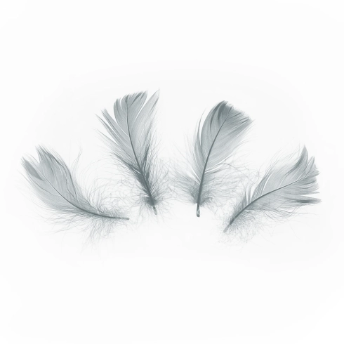 Siva dekorativna perja 5–8 cm, 50 kom za party dekoraciju