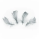 Siva dekorativna perja 5–8 cm, 50 kom za party dekoraciju