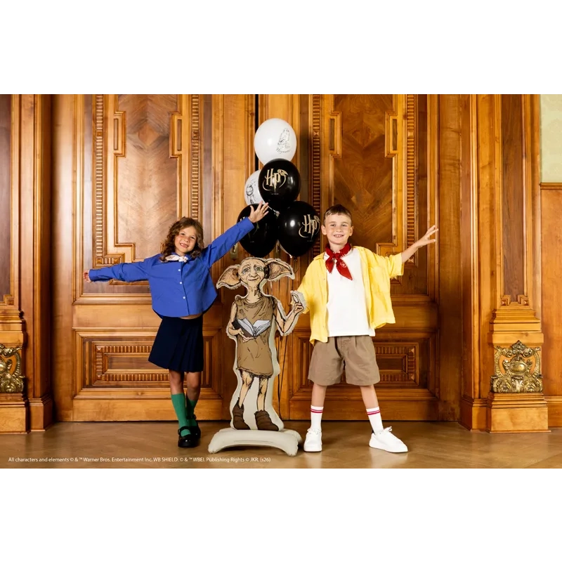 Balon din folie de sine stătător Harry Potter Dobby, 54x105 cm