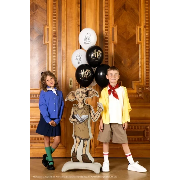 Balon din folie de sine stătător Harry Potter Dobby, 54x105 cm