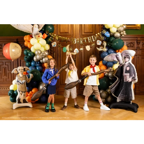 Set de baloane din folie Harry Potter Nimbus 2000 și Hoțoaica de Aur, 2 buc.