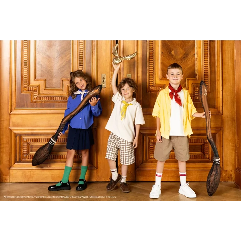 Set de baloane din folie Harry Potter Nimbus 2000 și Hoțoaica de Aur, 2 buc.