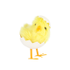 Veľkonočná dekorácia žlté kuriatko v škrupinke 8 cm
