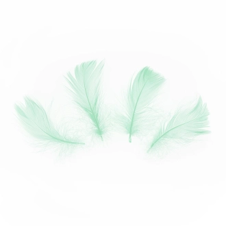 Zelene konfete perje 50 kom – dekoracija za stol i balone