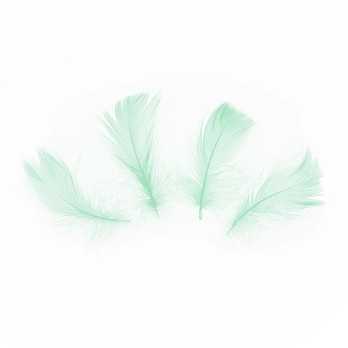 Zelene konfete perje 50 kom – dekoracija za stol i balone