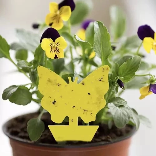 Lep na ochranu rastlín pred hmyzom, 12 ks