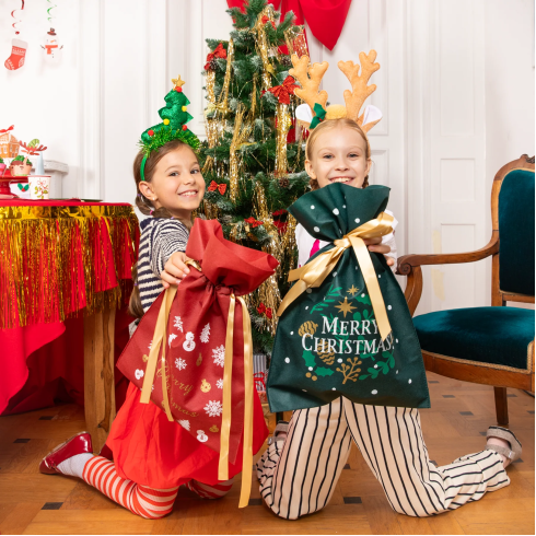 Božična darilna vreča z mašno 45 cm – zelena