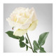 Dekorační umělá růže - bílá 56 cm