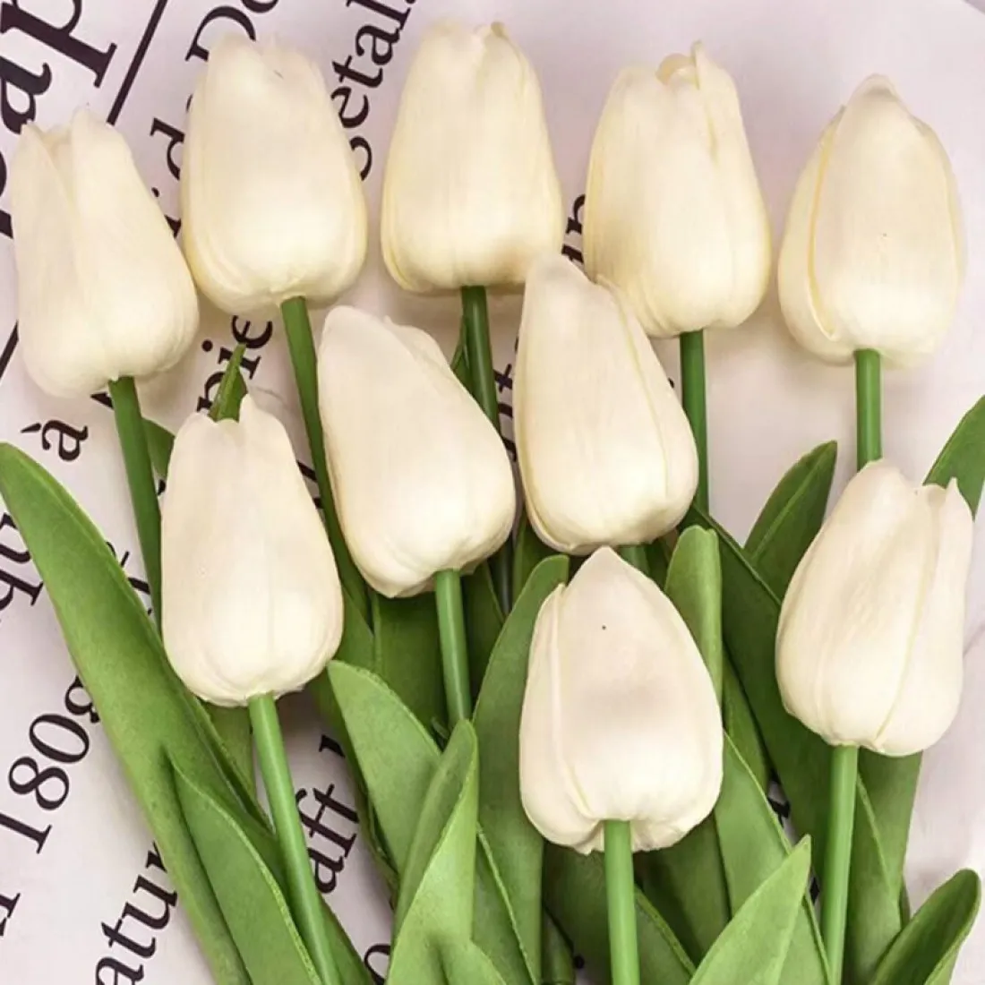 Jarný tulipán - krémový 1 ks