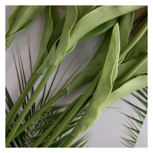 Jarní tulipán - krémový 1 ks