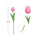 Jarní tulipán - růžový 1 ks