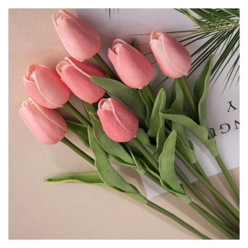 Jarný tulipán - ružový 1 ks