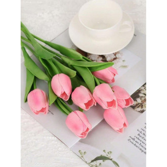 Jarný tulipán - ružový 1 ks