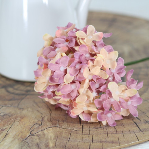 Kvet orgovánu - ružovo oranžový 21 cm