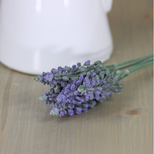 Modrica - zväzok 6 ks