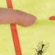 Mucholapka - lepidlo proti hmyzu 10 m