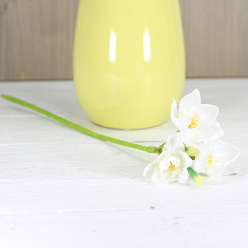 Narcis - biely 35 cm